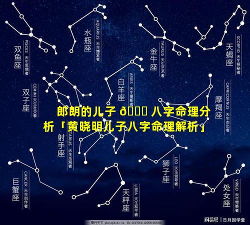 郎朗的儿子 🐛 八字命理分析「黄晓明儿子八字命理解析」